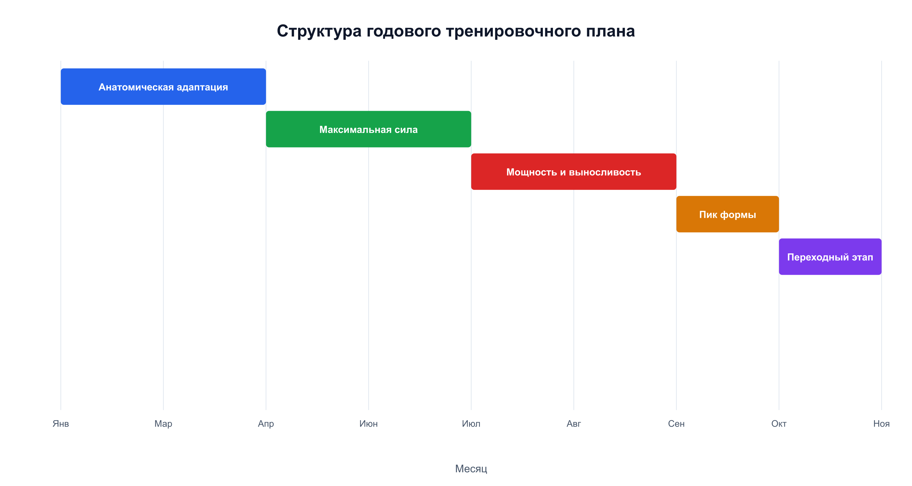 Годовой тренировочный план: 5 этапов от анатомической адаптации до пика формы за 10 месяцев