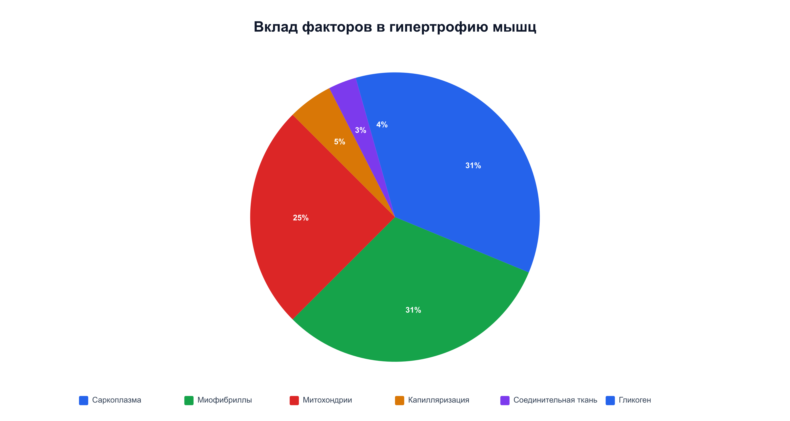 Вклад факторов в гипертрофию мышц: саркоплазма и миофибриллы дают до 30% каждая