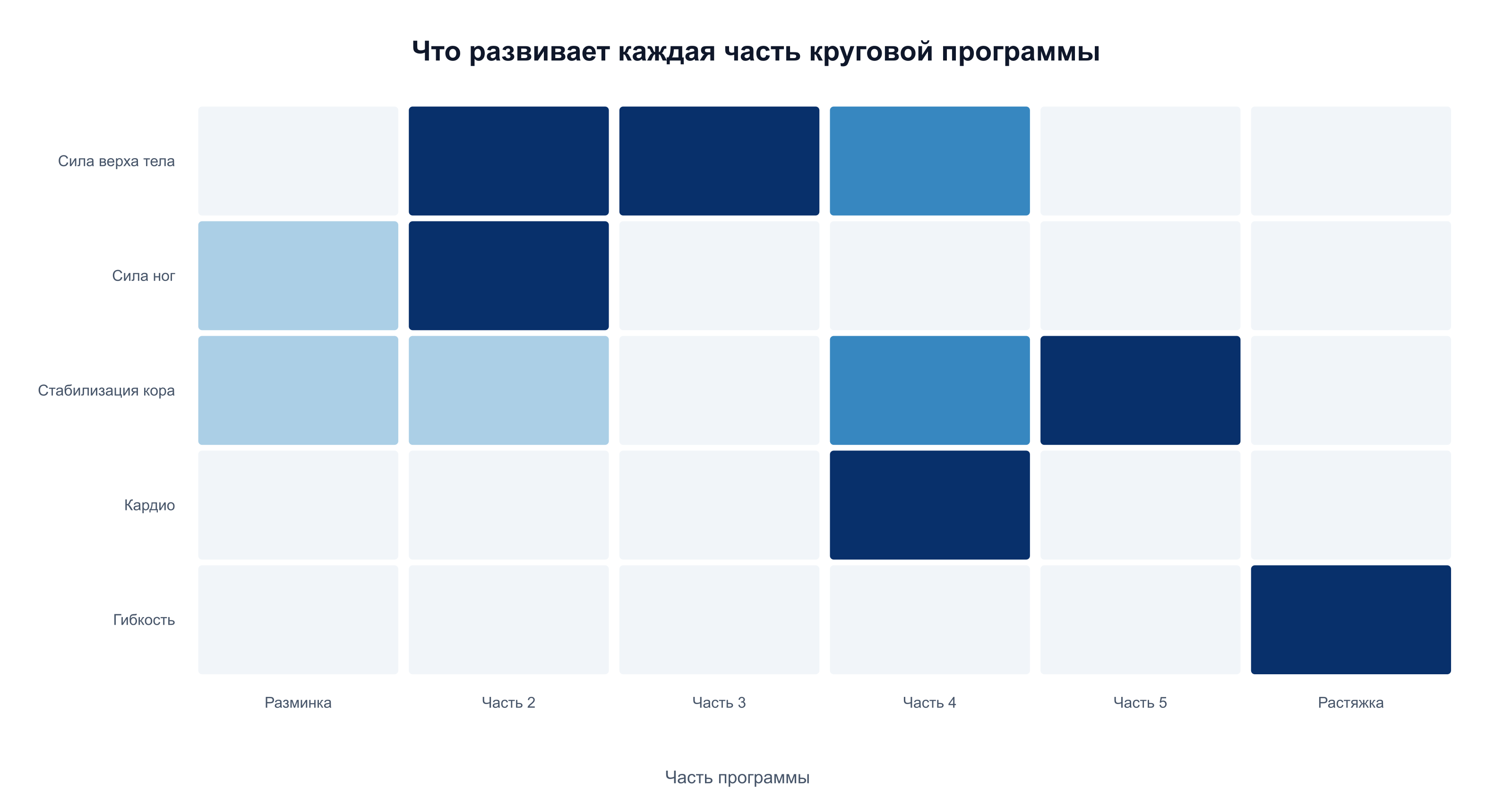 Какие физические качества развивает каждая часть круговой программы на TRX